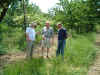 orchard01.JPG (173141 bytes)