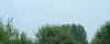 vetsdday10.JPG (68891 bytes)